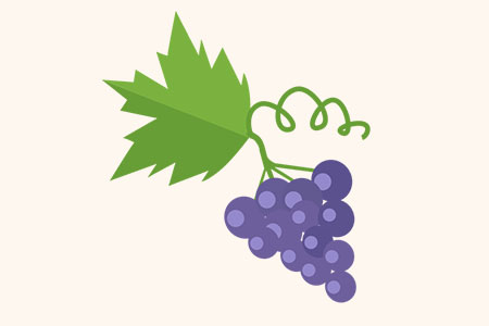 01 / Récolte des raisins