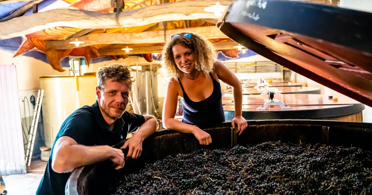 Domaine Lapierre