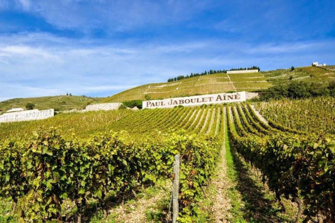 Domaine Jaboulet Ainé
