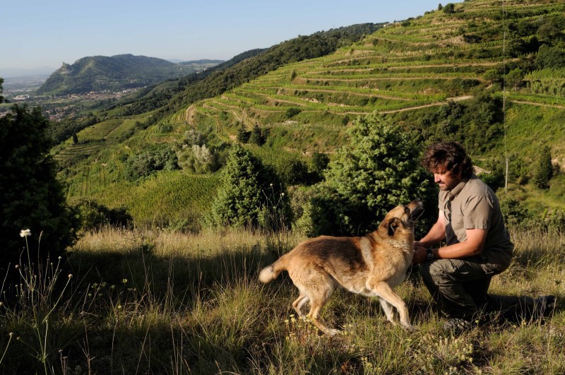 Domaine Matthieu Barret