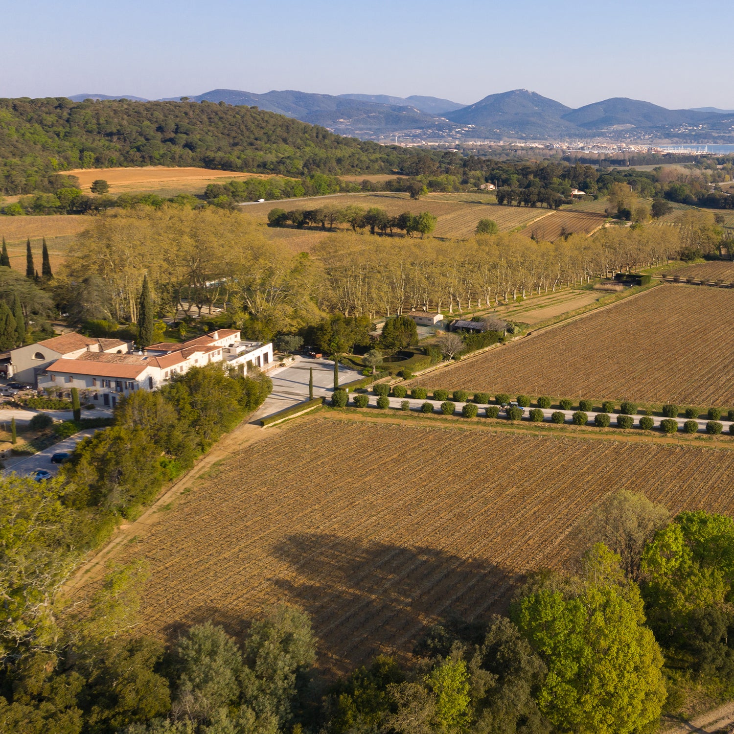 Domaine Château Minuty