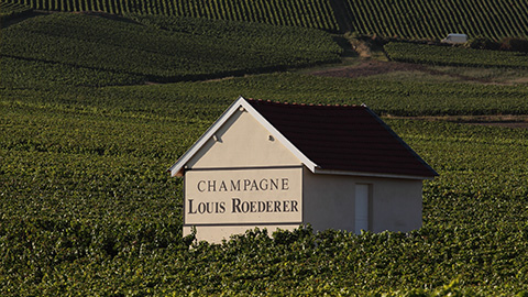 Domaine Louis Roederer