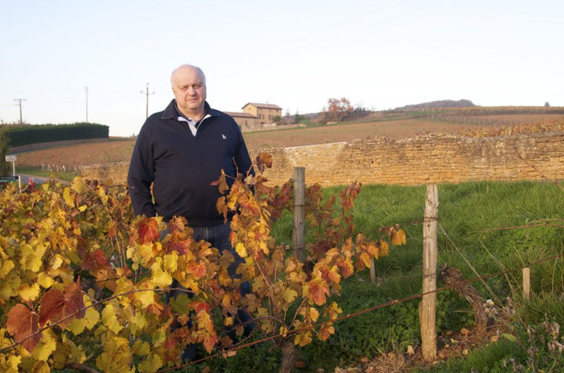 domaine_brun