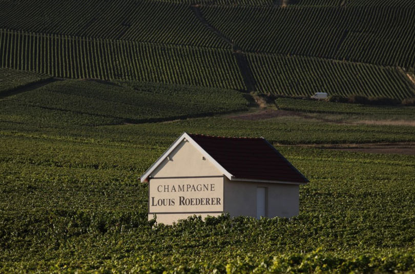 roederer