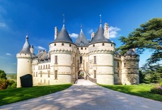 cave_martiniere_-_vignettes_-_regions_viticoles_-__0006_loire_1246136234