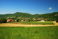 cave_martiniere_-_vignettes_-_regions_viticoles_-__0011_bugey_448942552