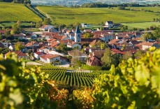 cave_martiniere_-_vignettes_-_regions_viticoles_-__0015_champagne_931587463