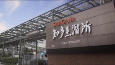 chitadistillery