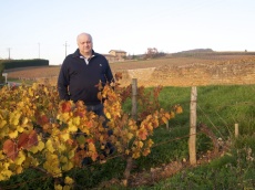 domaine_des_terres_dorees_jean-paul_brun