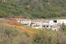 domaine_louis_chomel
