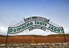 domaine_louis_jadot