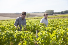 domaine_mabillot