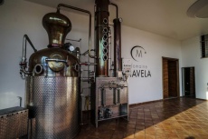 domaine_mavela2