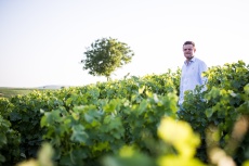 domaine_paul_cherrier