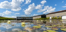 maison_remy_martin