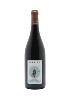 marius-syrah-grenache-domaine-chapoutier