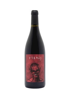 saint-joseph-parady-domaine-bernard-gripa