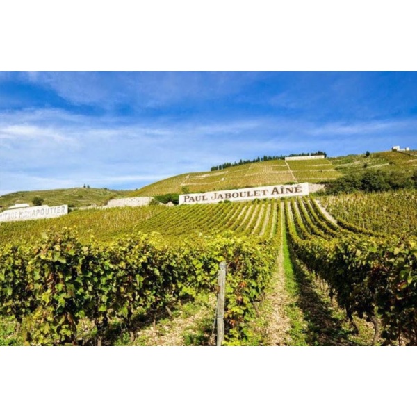 Domaine Paul Jaboulet Ainé