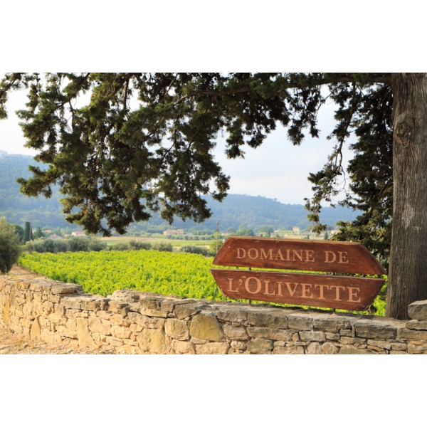 Domaine de l'Olivette